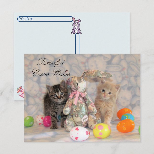 Postcrossing -Patton & Buffington Easter Cat  Holiday Postcard (Front/Back)
