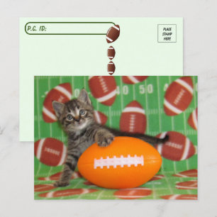 Postcrossing Patton Plays Football - Cat Postcard