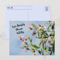Postcrossing Pink Wildflower on Blue Quote