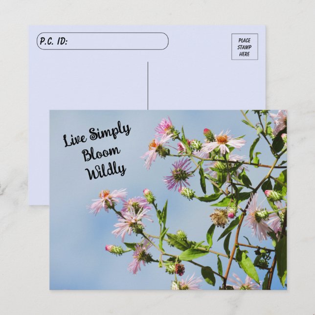 Postcrossing Pink Wildflower on Blue Quote  Postcard (Front/Back)