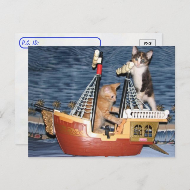 Postcrossing - Pirate Kittens  - Cat / Kitten  Postcard (Front/Back)