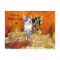 Postcrossing Porkchop Cat / Kitten Postcard