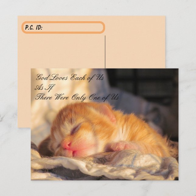 Postcrossing Postcard - God Loves Us with Kitten (Front/Back)
