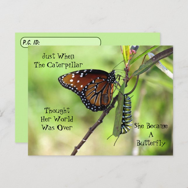 Postcrossing Queen Butterfly & Monarch w/ ID Box Postcard (Front/Back)