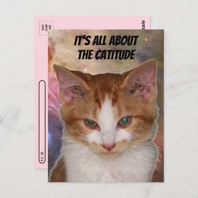 Postcrossing Reba's Catitude Postcard (Front/Back)