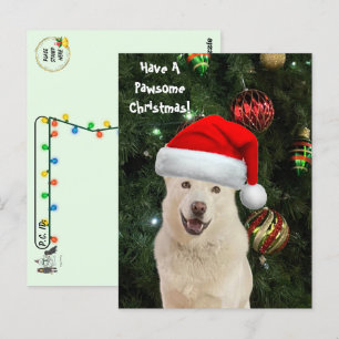 Postcrossing Santa Paws -The Happy Husky Christmas Postcard
