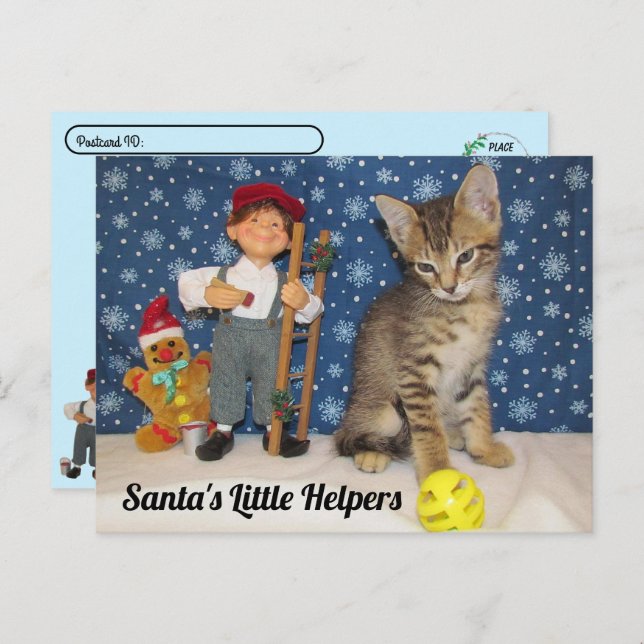Postcrossing - Santa's Little Helpers - Cat & Elf Postcard (Front/Back)
