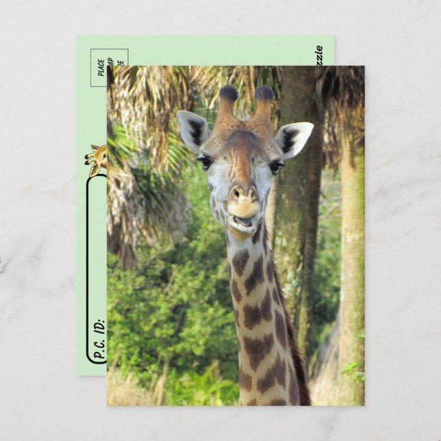 Postcrossing - Silly Giraffe Postcard (Front/Back)