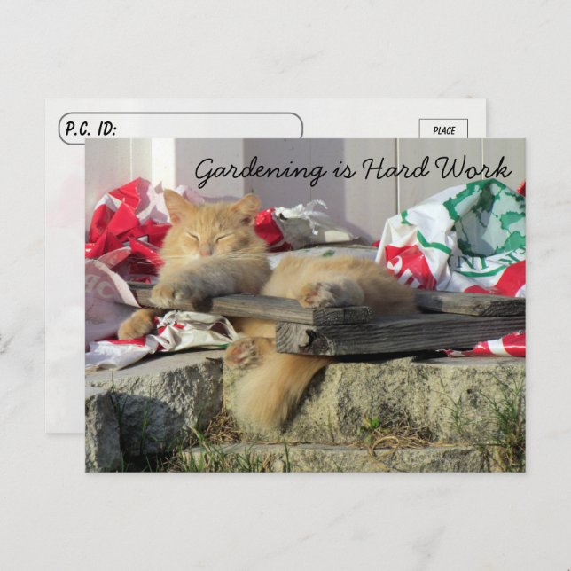 Postcrossing - Simba the Cat's Gardening Postcard (Front/Back)