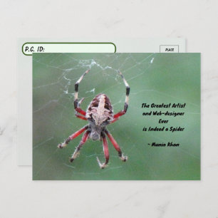 Postcrossing Spotted Orbweaver Spider Postcard