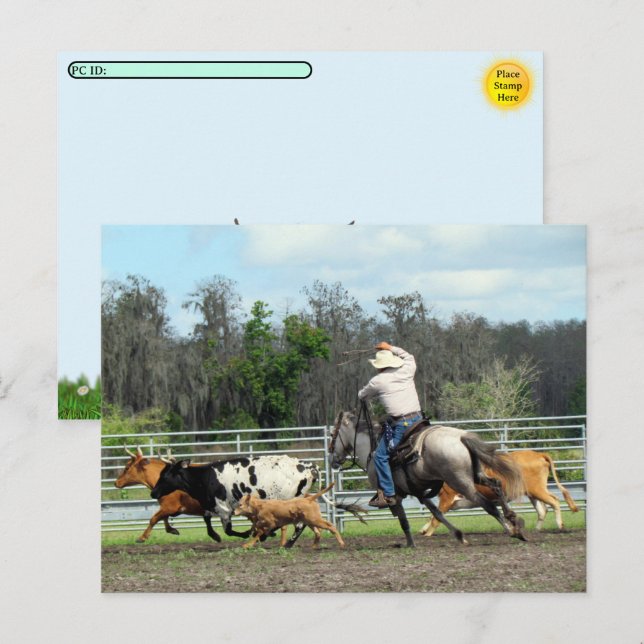 Postcrossing - The Roundup - Cowboy Postcard (Front/Back)