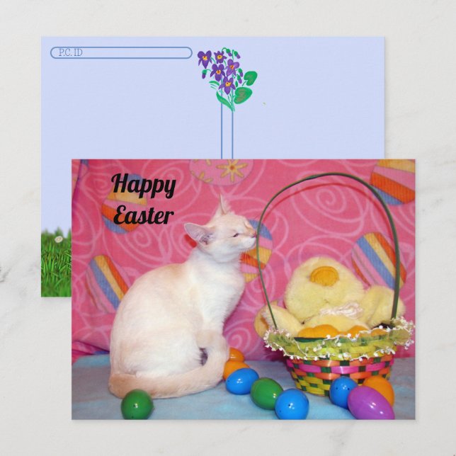 Postcrossing - Tiffany's Easter Basket = Cat Postcard (Front/Back)