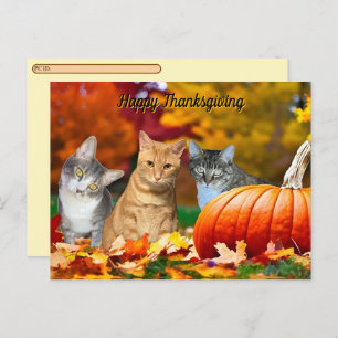 Postcrossing Tito, Taz & Annie's 2025 Thanksgiving Holiday Postcard