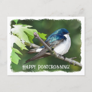 Postcrossing Tree Swallow - Postcard