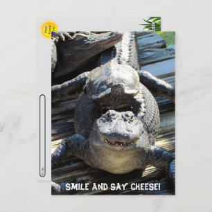 Postcrossing - Ultimate Florida Tourist Postcard 