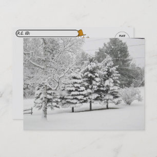 Postcrossing - Vermont's Snowy Winter in B&W Postcard