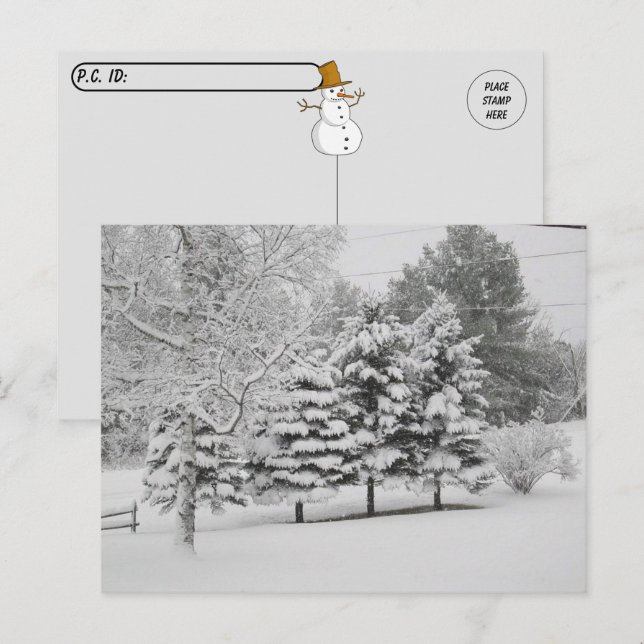 Postcrossing - Vermont's Snowy Winter in B&W Postcard (Front/Back)