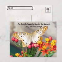 Postcrossing - White Peacock Butterfly Quote