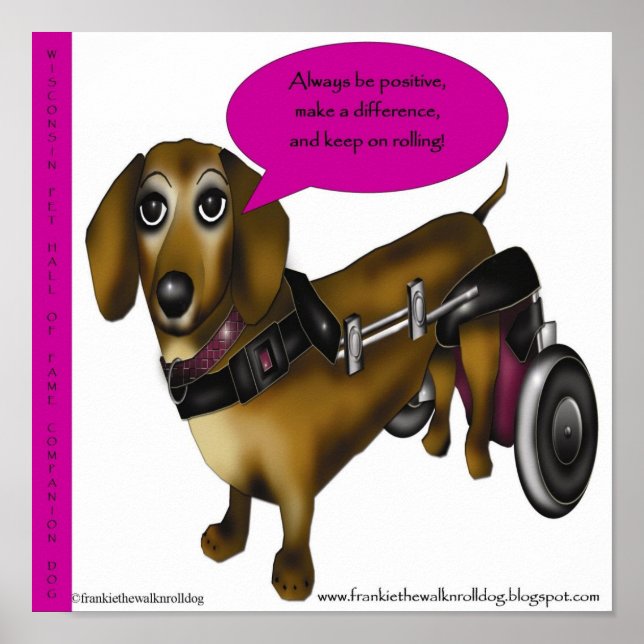 poster 11 X 11 frankie (Front)