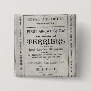 Poster advertising the Allied Terrier Club 15 Cm Square Badge