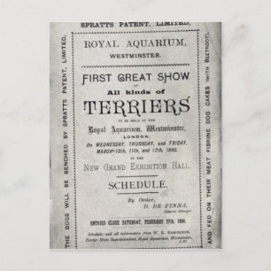 Poster advertising the Allied Terrier Club Postcard