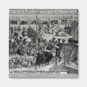 Poster advertising, 'The Barnum and Bailey Magnet