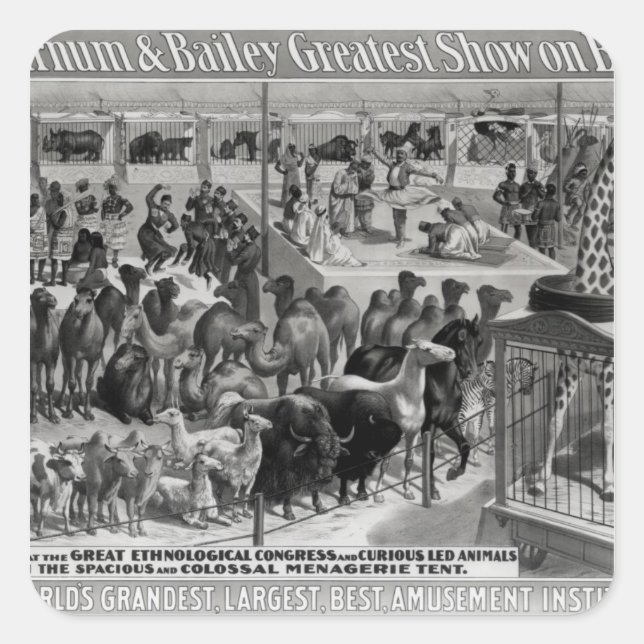 Poster advertising, 'The Barnum and Bailey Square Sticker (Front)