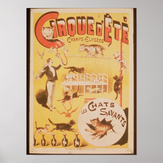 Poster advertising the Cirque d'Ete in the (Front)