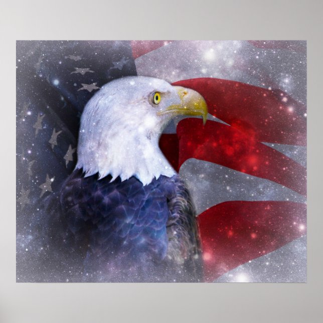 Poster/American Bald Eagle and Flag Poster (Front)