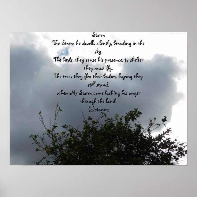 POSTER ART AND DESIGN STYLE  (Front)