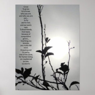 POSTER ART AND DESIGN STYLES