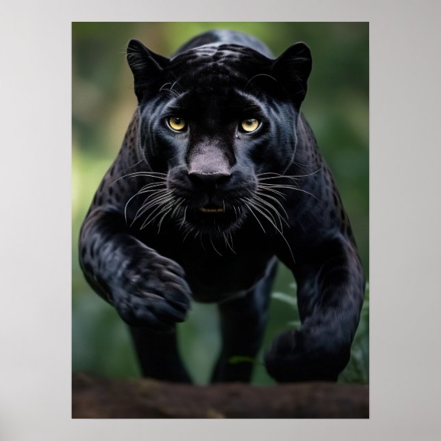 Poster Art Black Leopard (Front)
