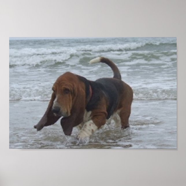 Poster Basset Hound By The Sea (Front)