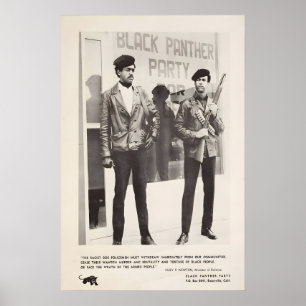 Poster Black Panther - Black guards to police and