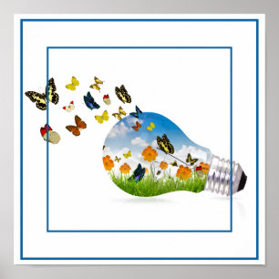 Poster-Butterflies 12"x 12" Poster