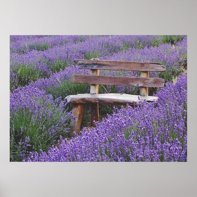 Poster Caixa (Front)