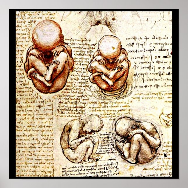 Poster-Classic/Vintage-Leonardo da Vinci 9 Poster (Front)