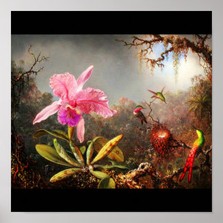 Poster-Classic/Vintage-Martin Johnson Heade 27 Poster