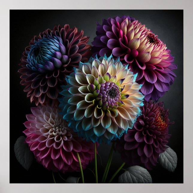 Poster Dahlia Flowers (Front)