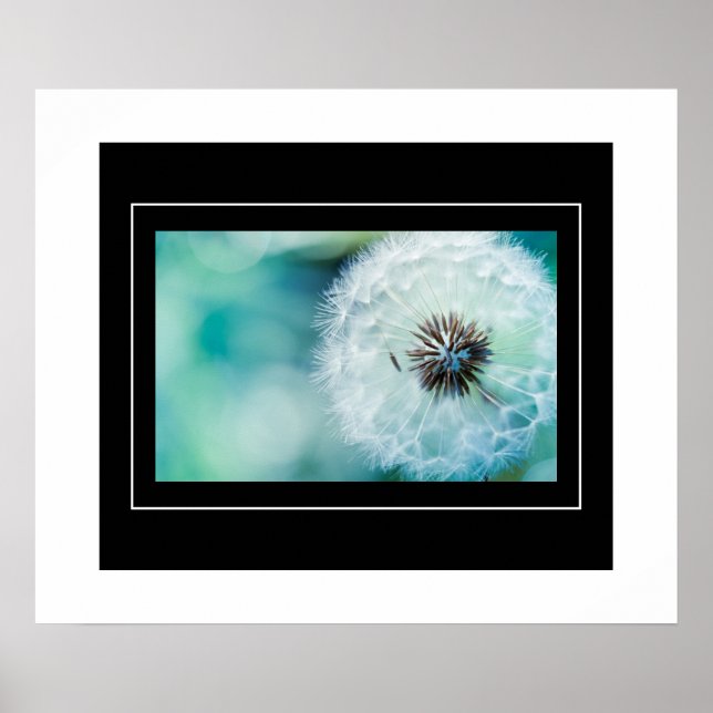 Poster-Dandelion Poster (Front)