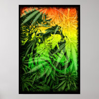 Poster das cores do reggae com leão e a natureza