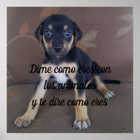 Poster Dime como eres con los animales