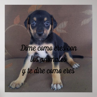 Poster Dime como eres con los animales