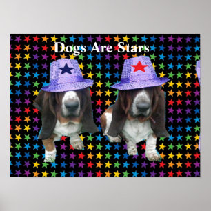 Poster Dogs Are Stars