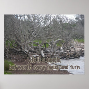 Poster Driftwood & Eel Grass Life is aTangle