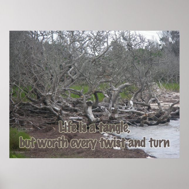 Poster Driftwood & Eel Grass Life is aTangle (Front)