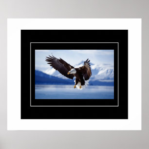 Poster-Eagle Poster