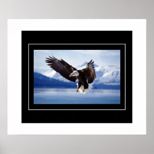 Poster-Eagle Poster