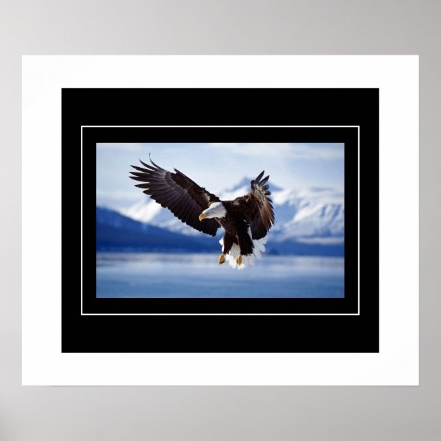 Poster-Eagle Poster (Front)