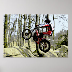 Poster effect trials rider